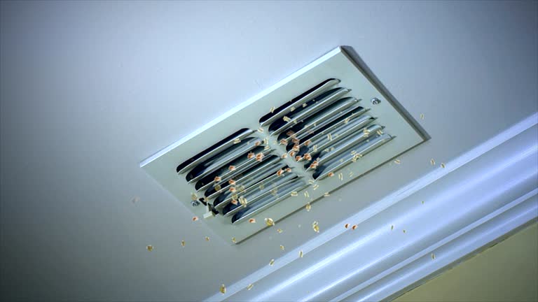 Best Professional Duct Cleaning Services  in Van Alstyne, TX